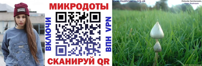 Галлюциногенные грибы мицелий  Купить закладки  Апатиты 