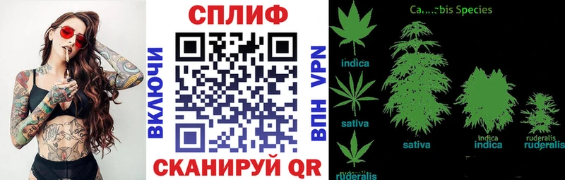 Купить закладки  Апатиты  Канабис White Widow 
